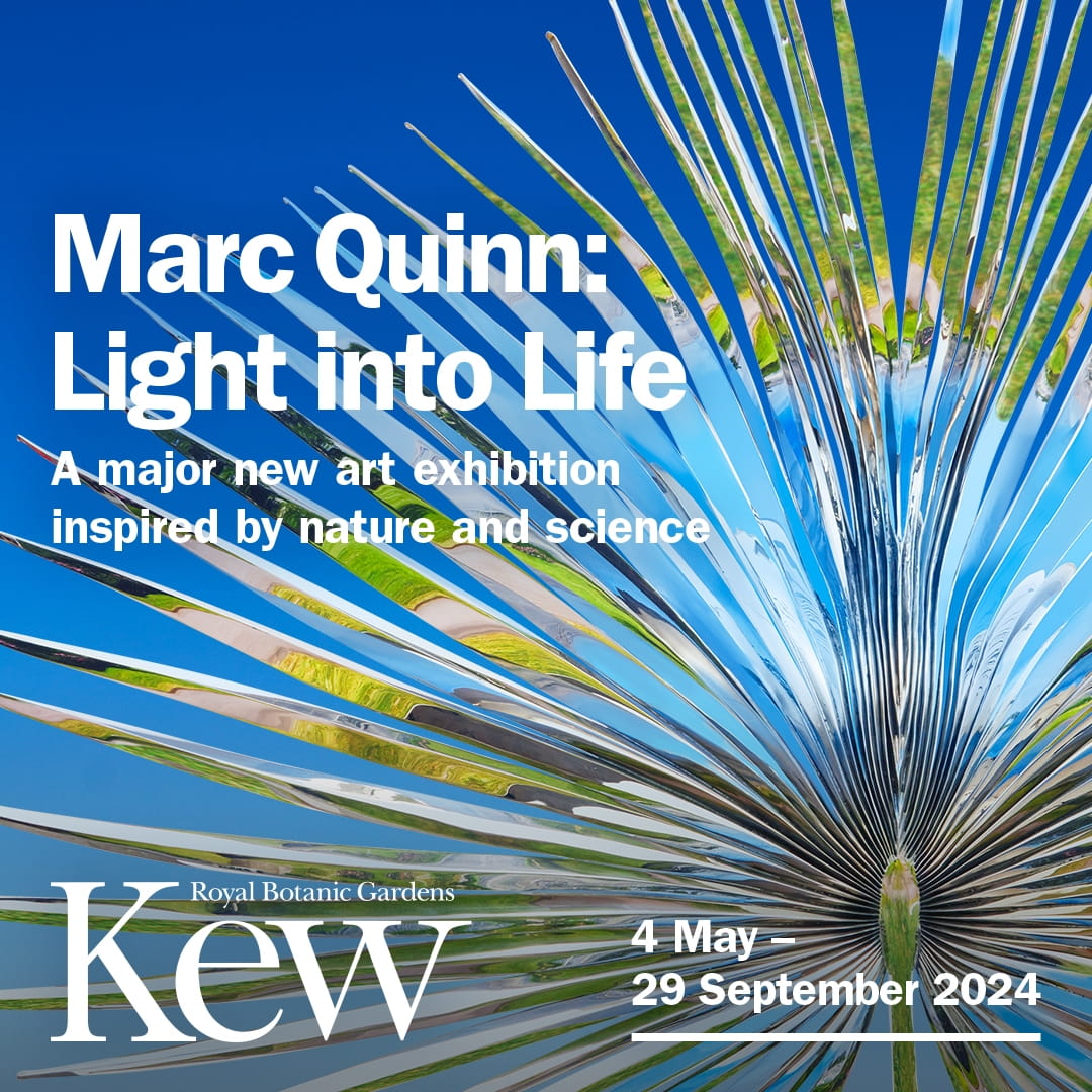 Mark Quinn: Light into life